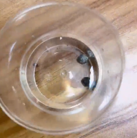 <a href='http://m.yunxiangju.cn' title='危險品貨代' >危險品貨代</a>